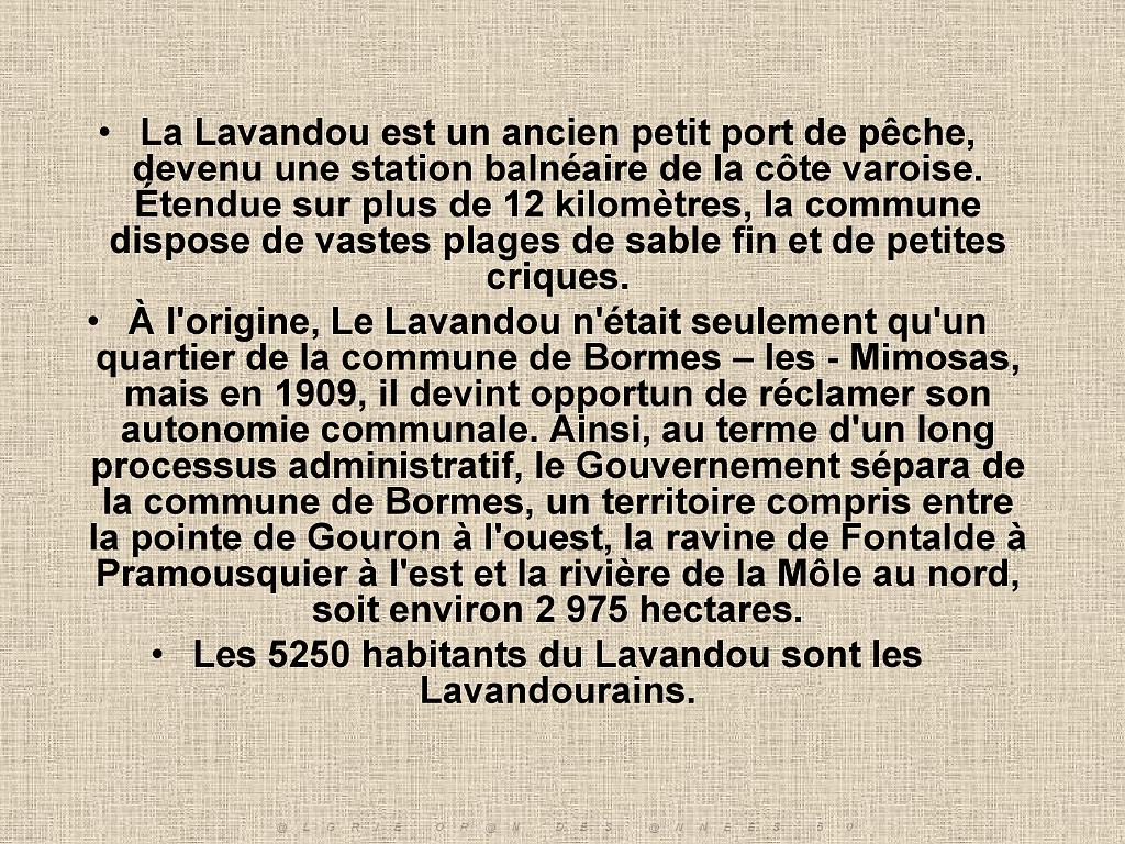 183 D36 LE LAVANDOU_000002.jpg
